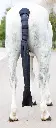 Padded Tail Guard with Bag navy.webp