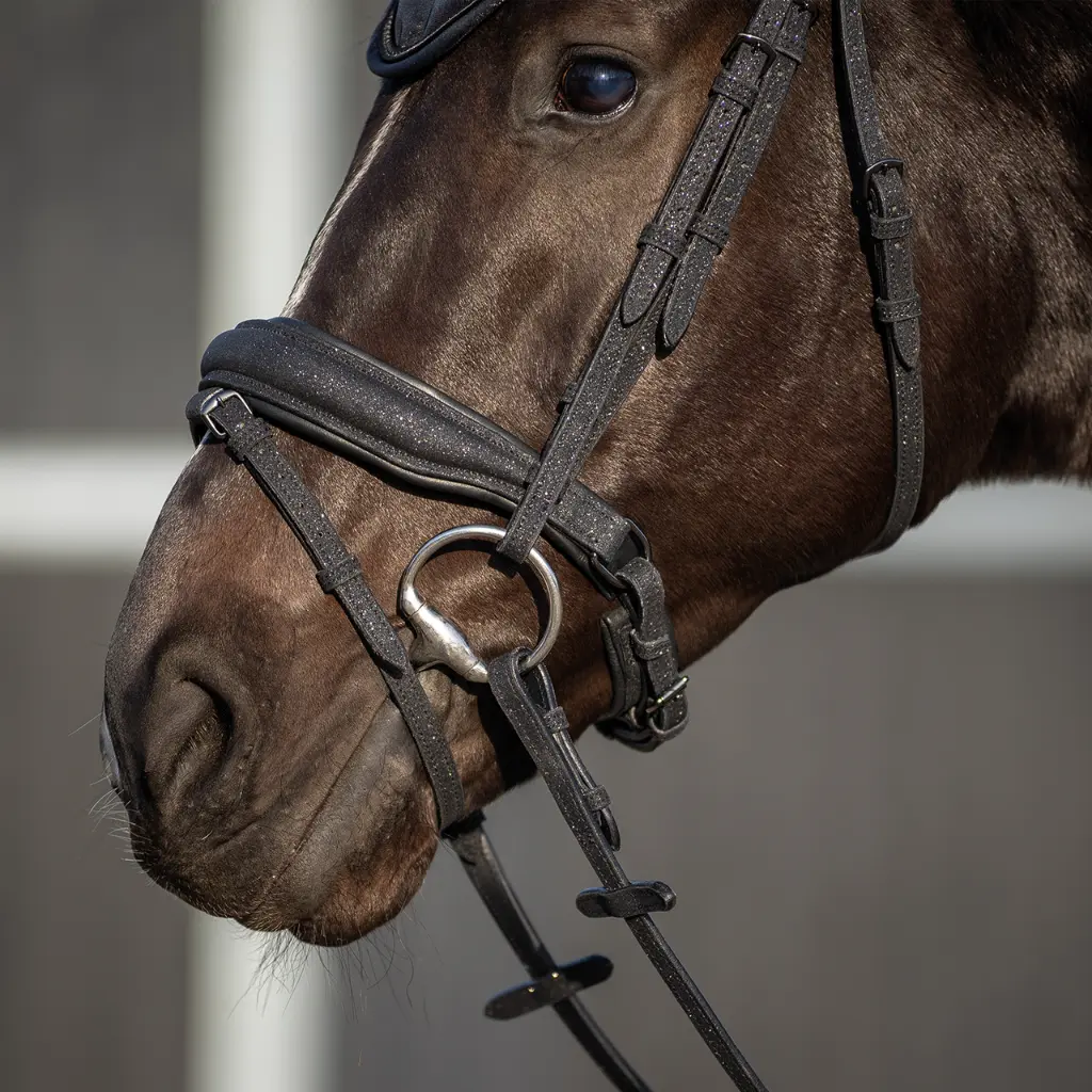 Bridle Glitter black.webp
