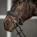 Bridle Glitter black.webp