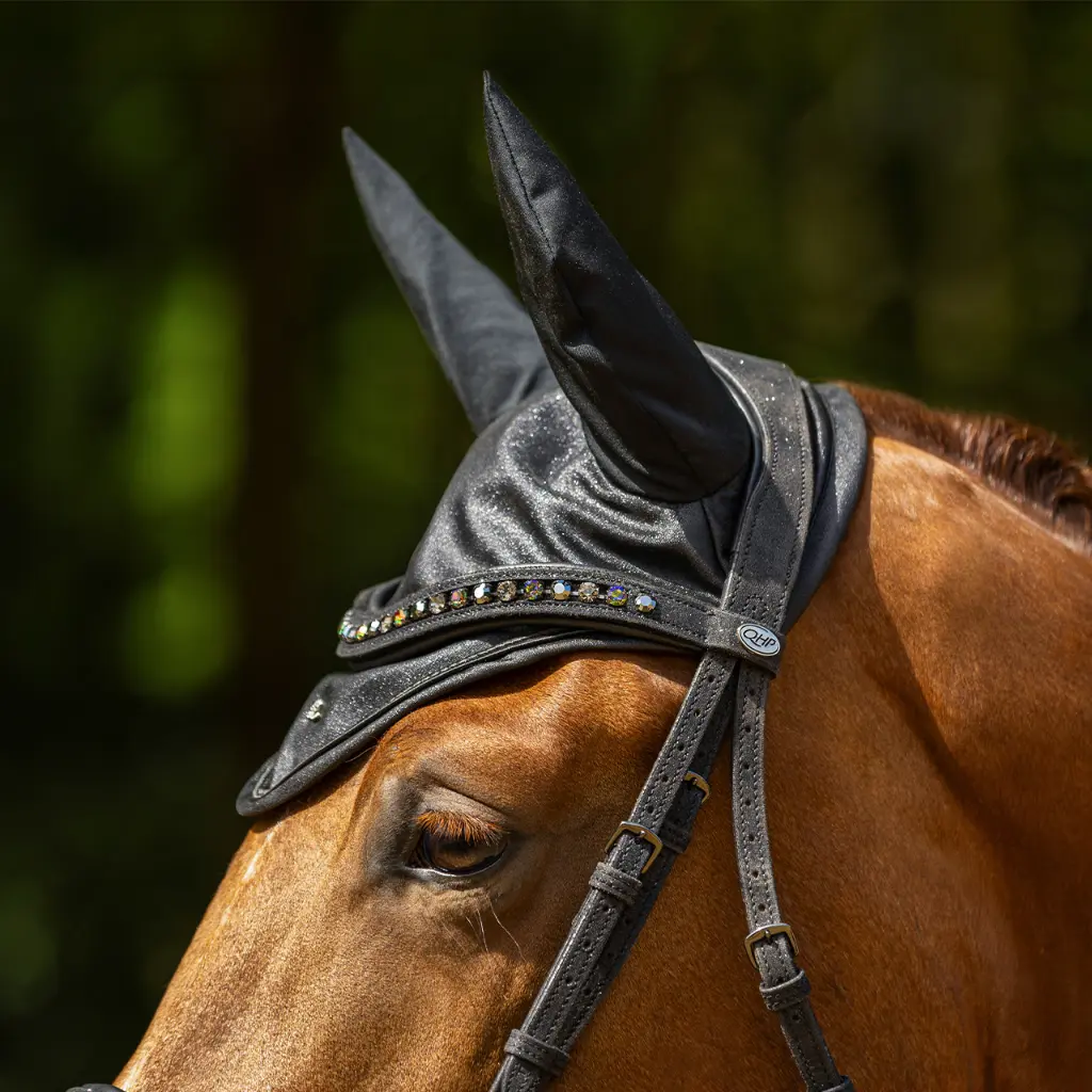 Bridle Glitter.webp