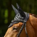 Bridle Glitter.webp