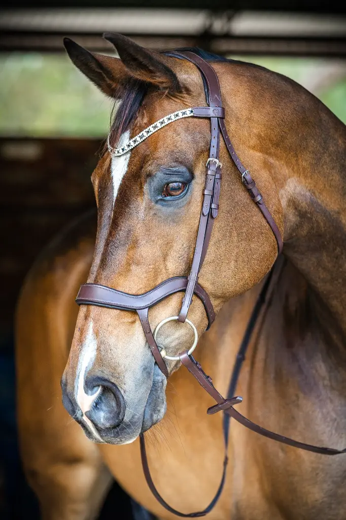 PMP Sport Camelia Anatomical Comfort Bridle.webp