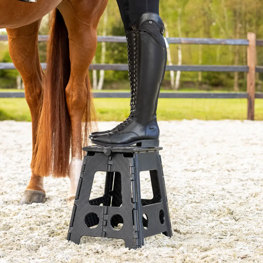 Step-up stool black.webp