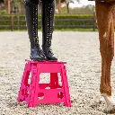 Step-up stool Fuchsia.webp