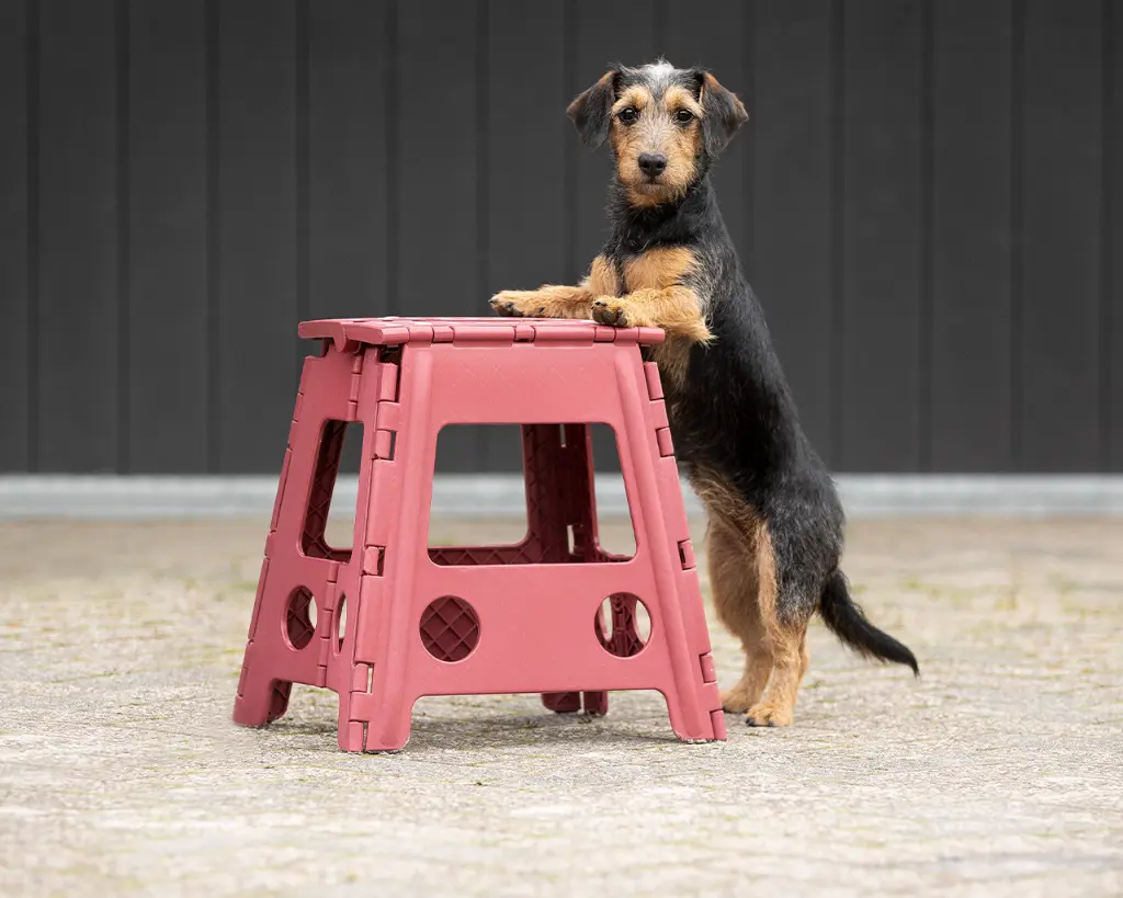 Step-up stool burgundy.webp