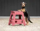 Step-up stool burgundy.webp