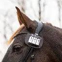 Saddle Pad Number Bridle number patent Black.webp