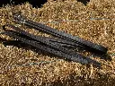 PMP Sport Stirrup Leathers with Webbing center brown.webp