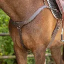 Breastplate with handle 1.webp