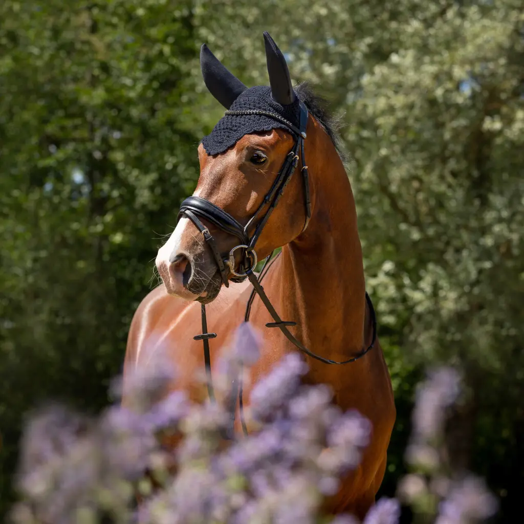 Ear net Flore soundless Navy.webp
