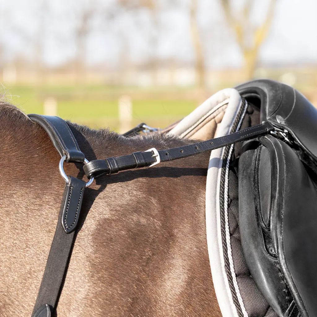 Breastplate Basic pro2.webp