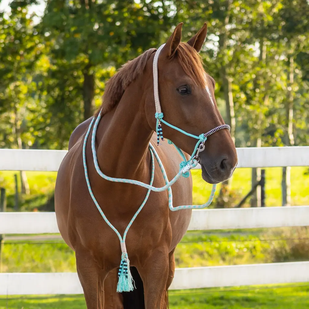 Rope halter combi Liberty Ice Green.webp