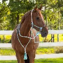 Rope halter combi Liberty Ice Green.webp