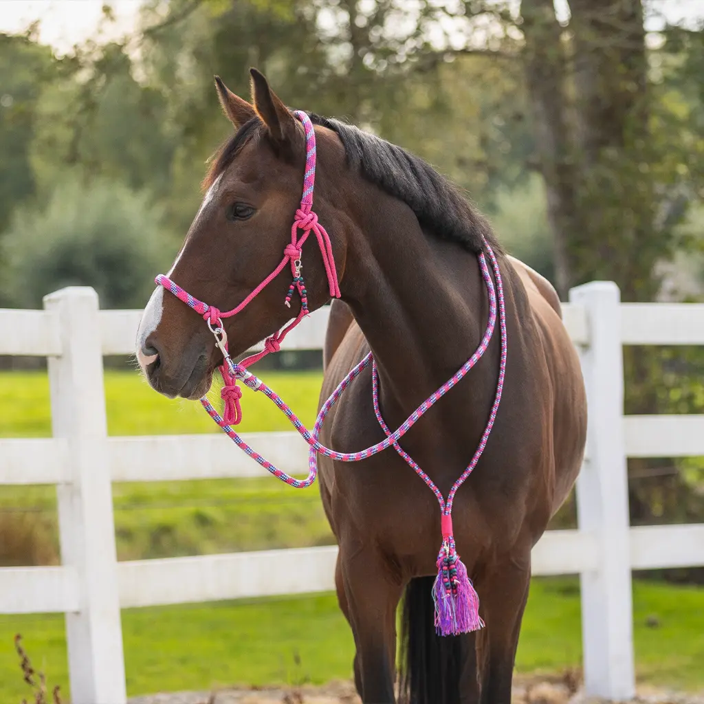 Rope halter combi Liberty Fuchsia.webp
