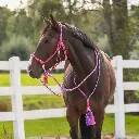 Rope halter combi Liberty Fuchsia.webp
