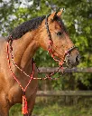 Rope halter combi Liberty Red.webp
