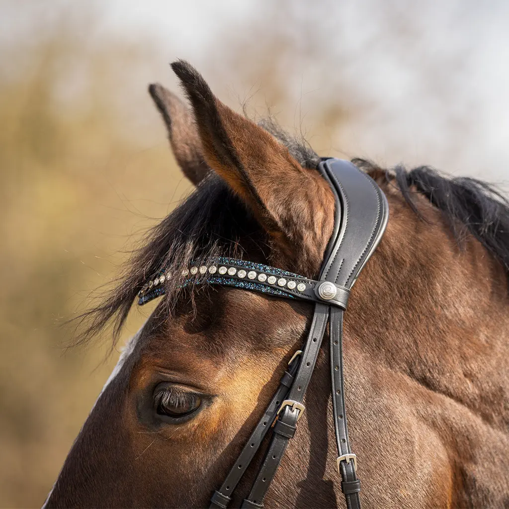 Browband Skye navy.webp