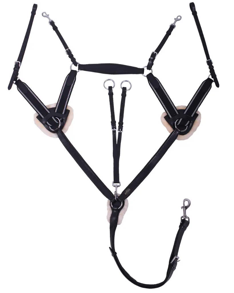Breastplate Ontario black.webp