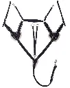 Breastplate Ontario black.webp
