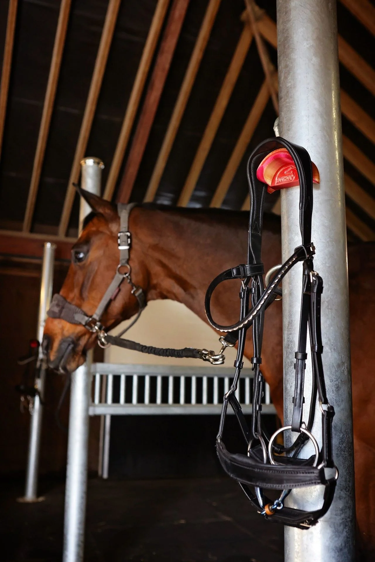 EquiHooks