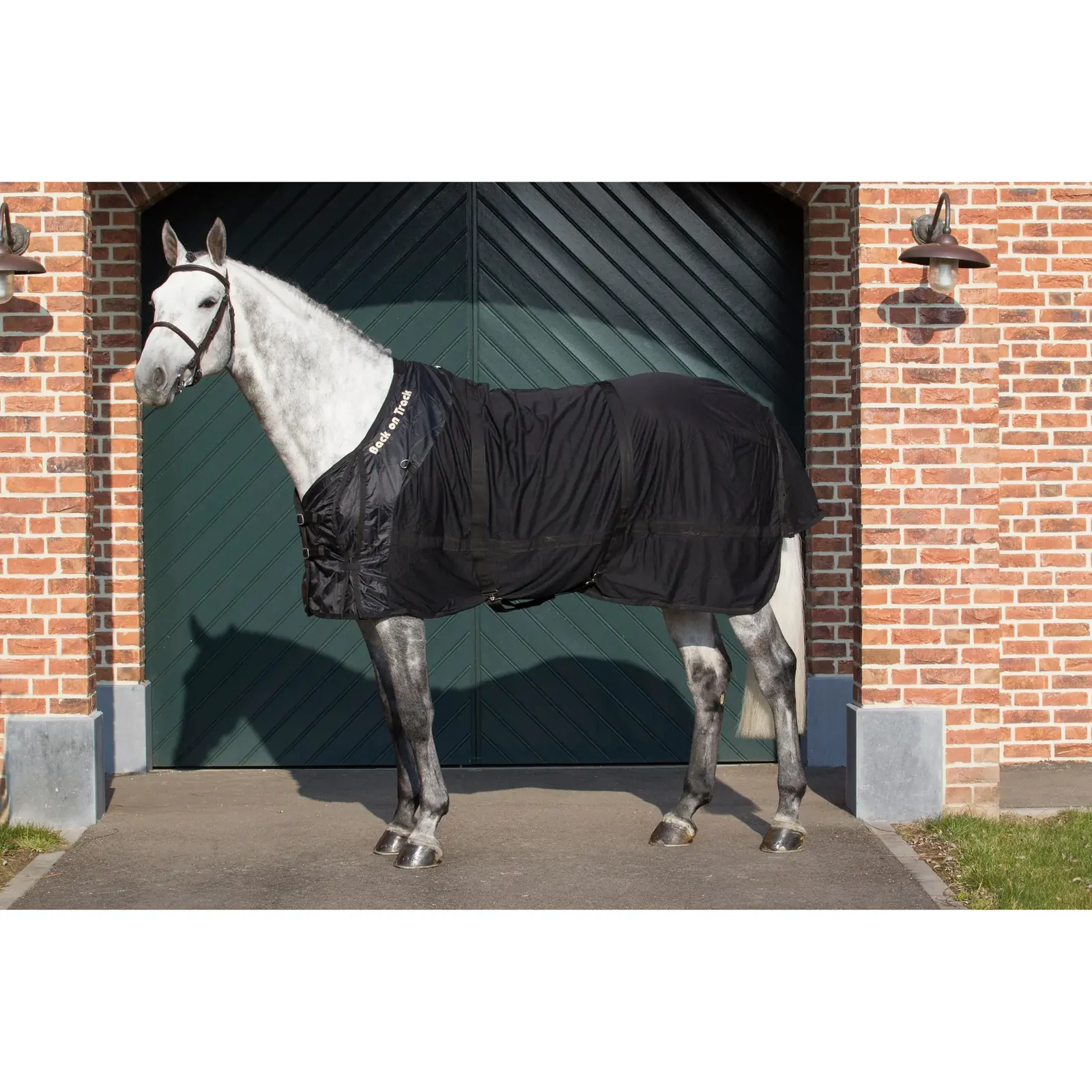 Back on Track Ceramic Healing Therapeutic Mesh Blanket (115cm)