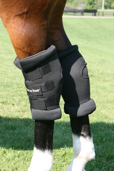Back on Track Ceramic Therapeutic Royal Padded Hock Boot