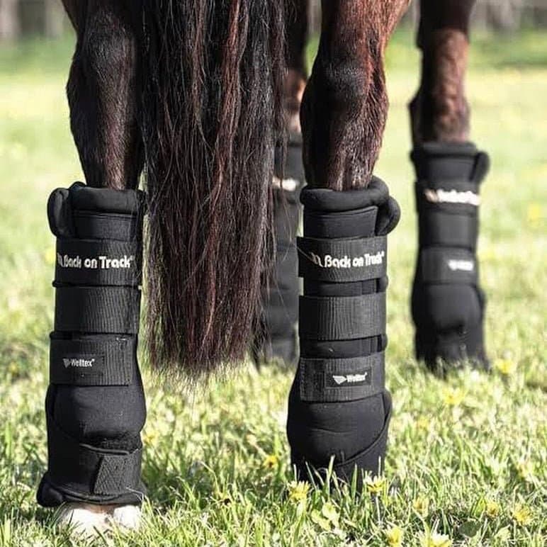Back on Track Royal Horse Quick Wraps (Large)
