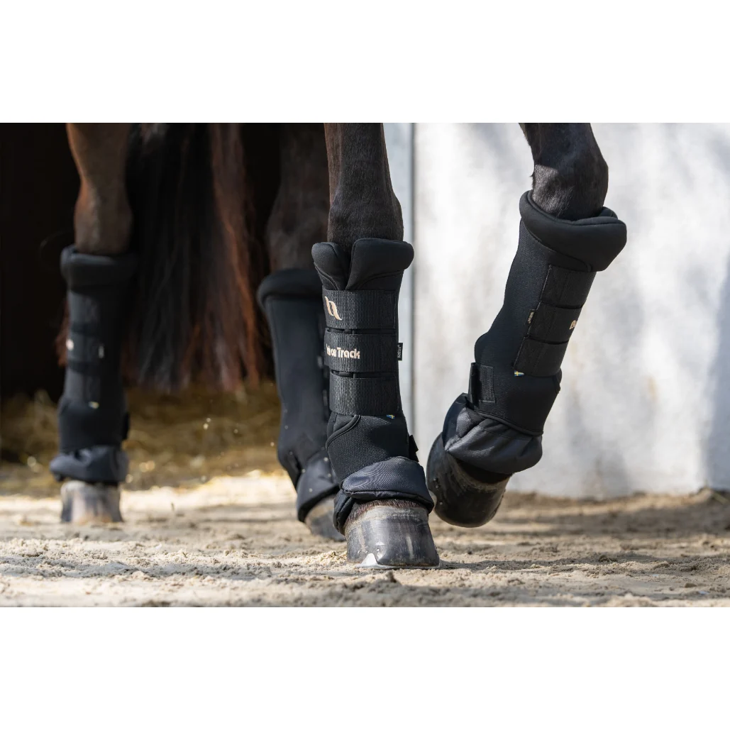 Back on Track Royal Horse Quick Wraps Deluxe (Large)