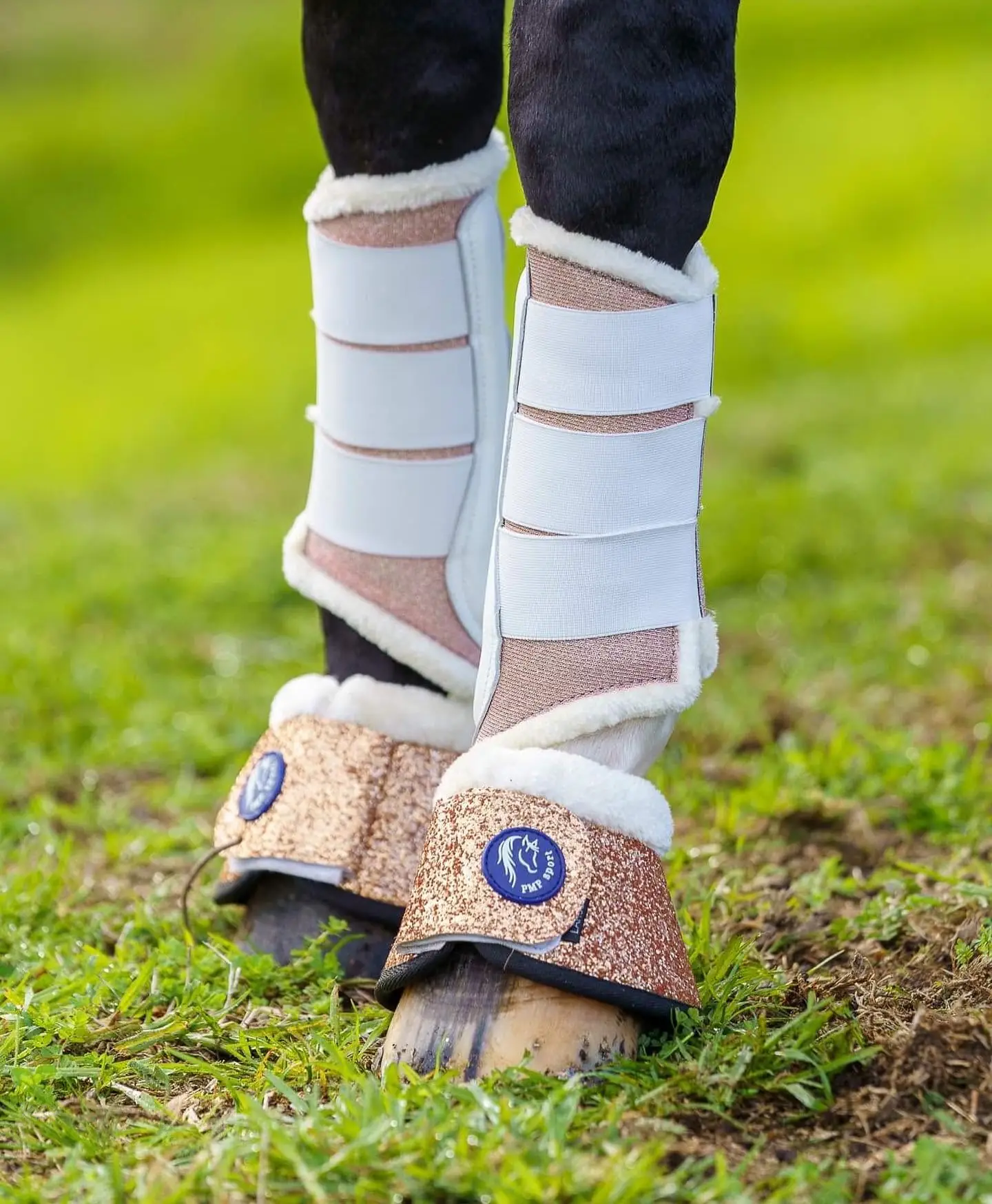 PMP Sport Peach Glow Tendon Boots