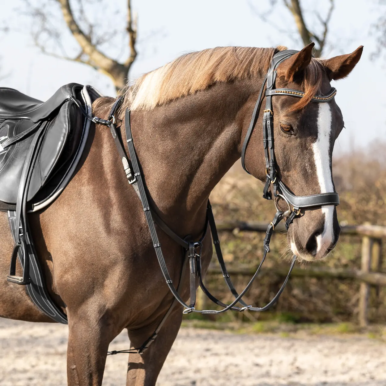 QHP Breastplate Pro - Black