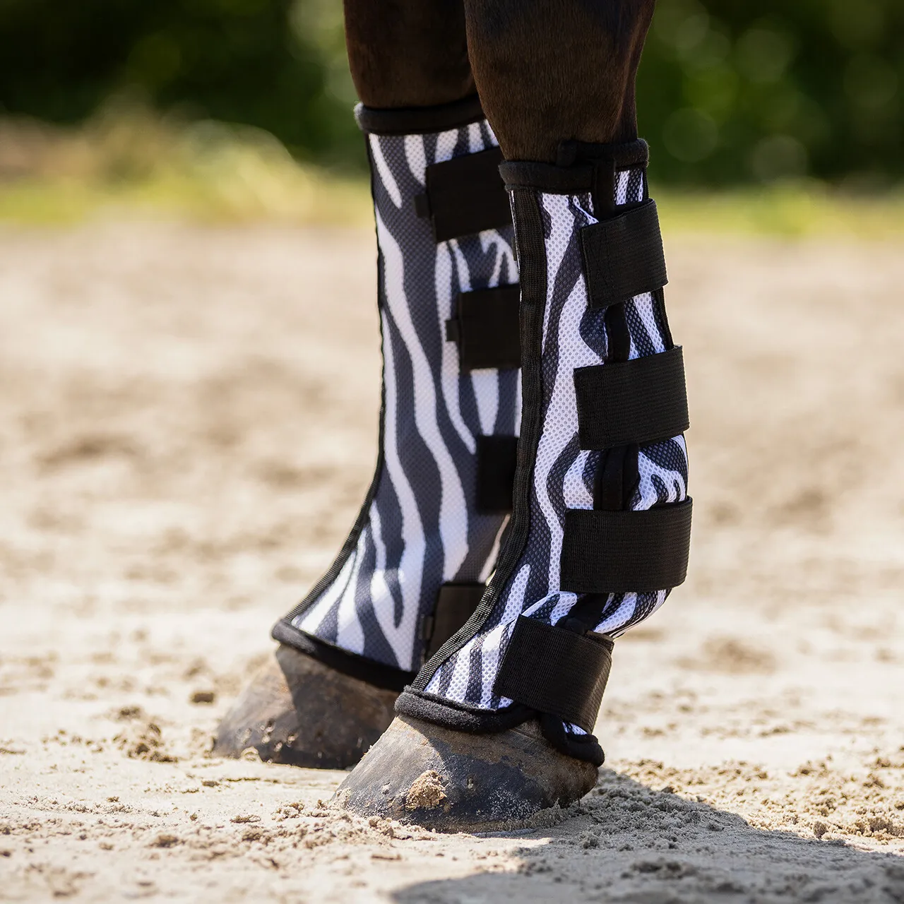 QHP Fly Boots - 2 Pack - Zebra