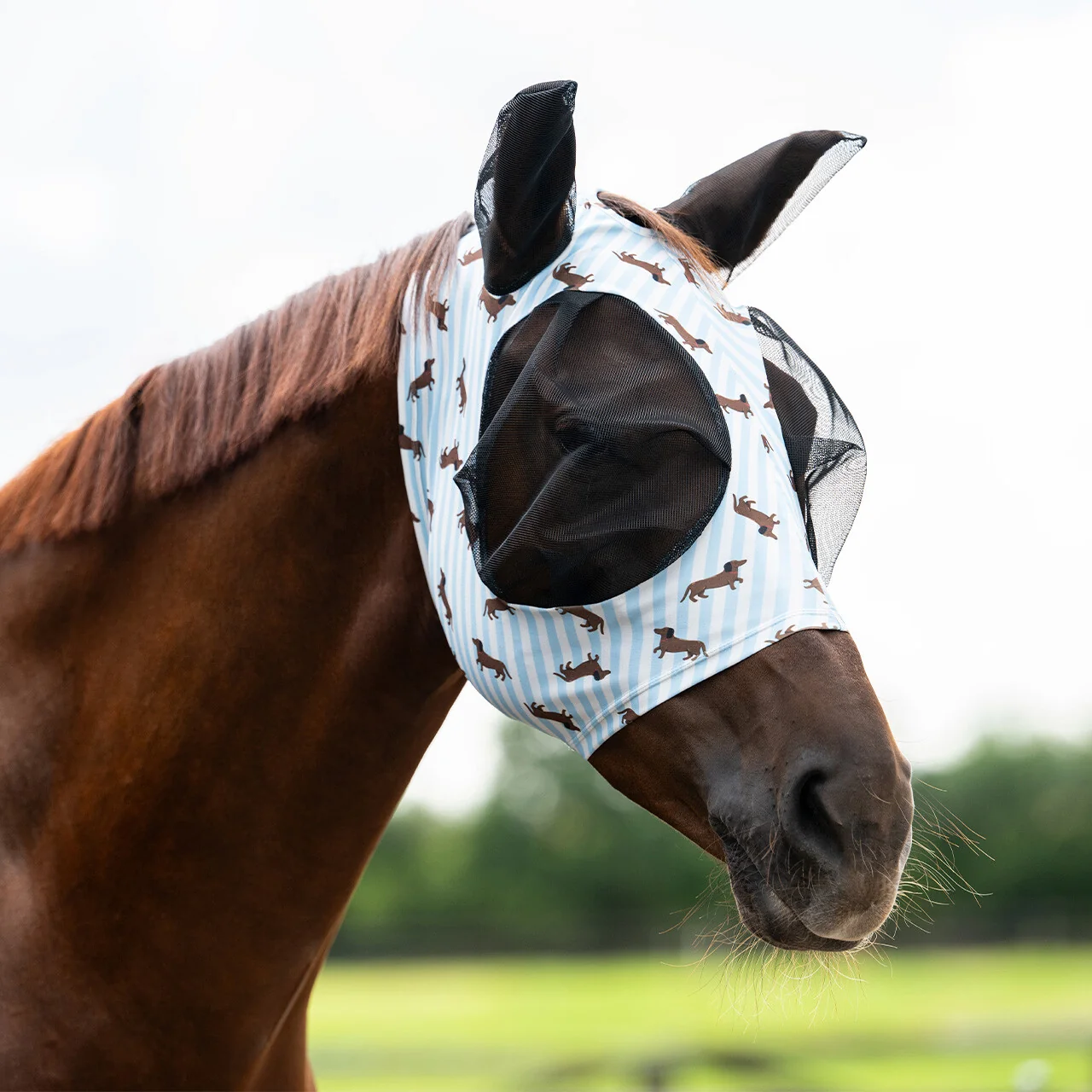 QHP Stable Buddy Fly Mask