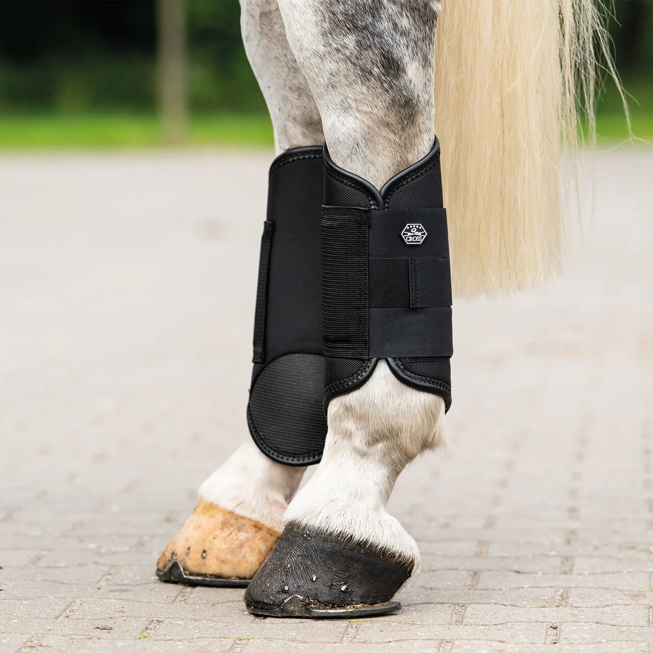 QHP Technical Cross Country Hind Boots | Eventing Horse Boots - Black (Cob)