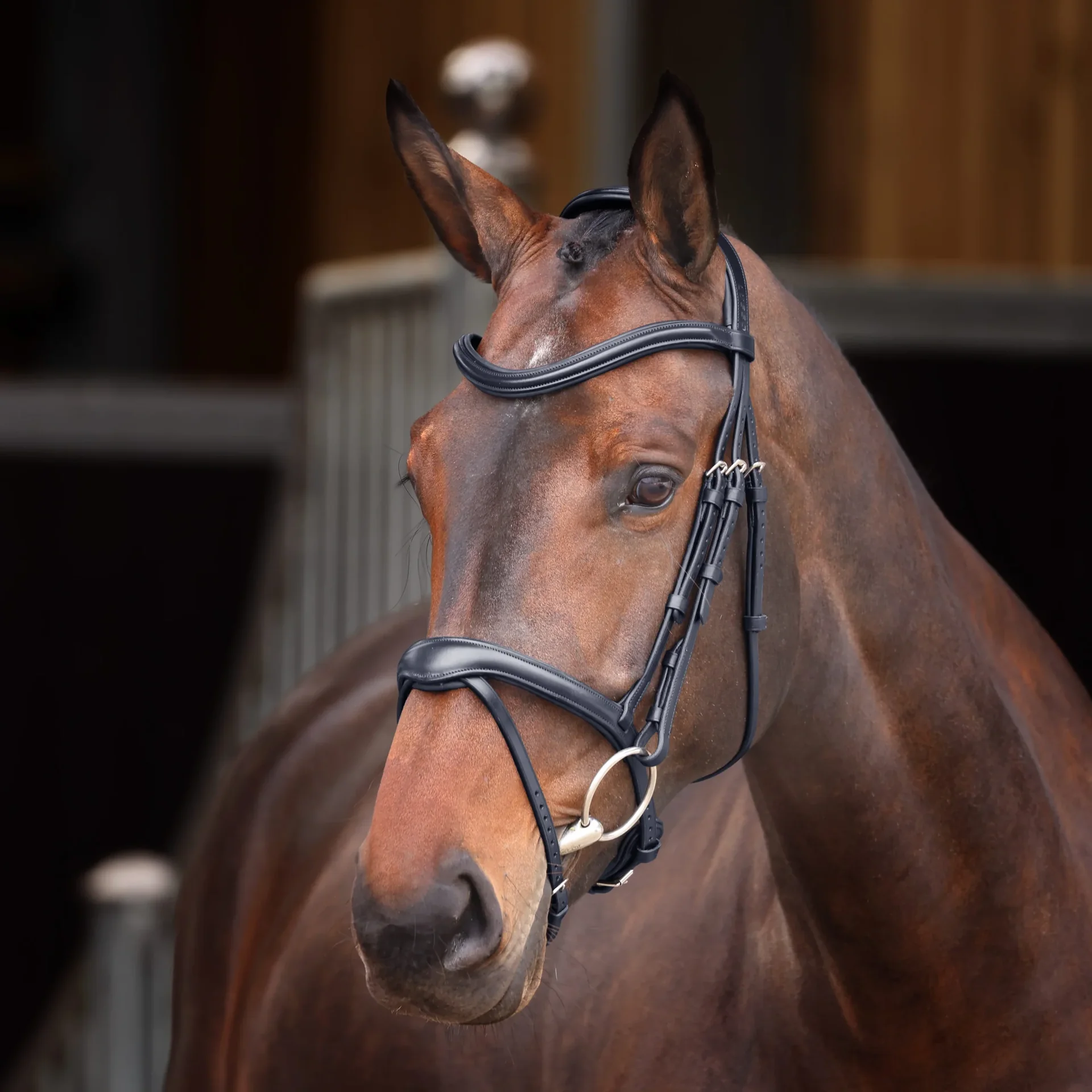 Velociti Lusso Elite Flash Bridle - Black