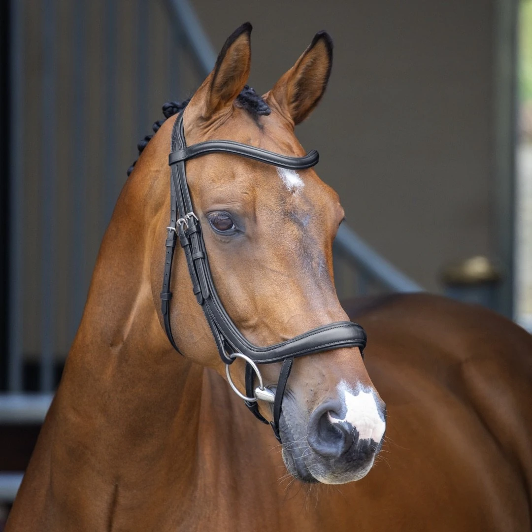 Velociti Lusso Ergonomic Curved Flash Bridle - Black