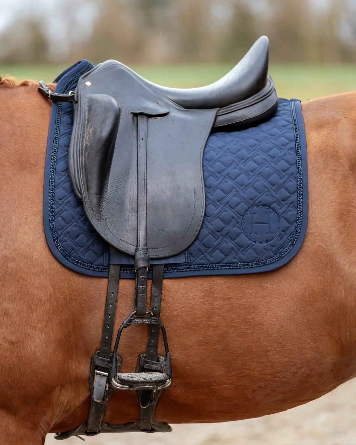 Harcour Saphir Saddle Pad - Navy (All Purpose)