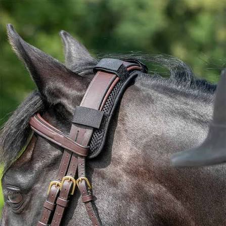 Back on Track Welltex® Horse Poll Warmer | Therapeutic Poll & Neck Support