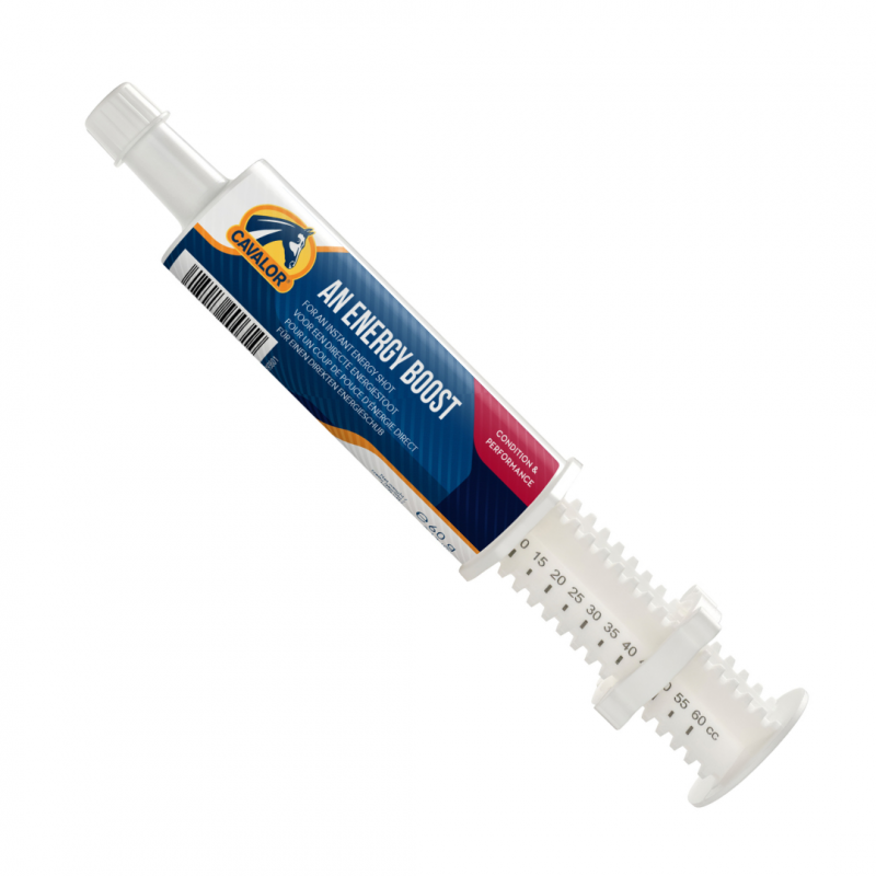 Cavalor An Energy Boost 60ml paste