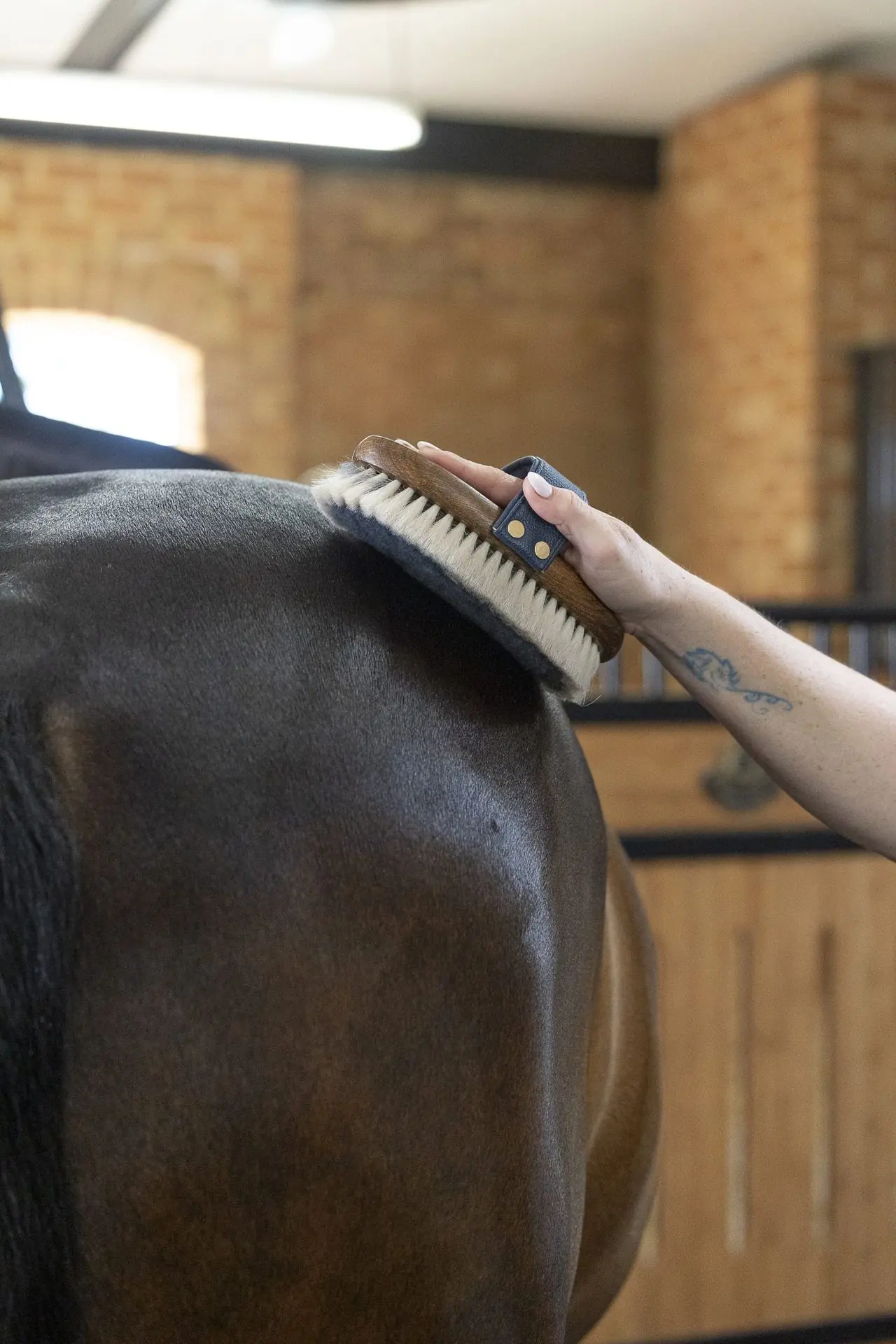 NTR Lambswool Finishing Brush