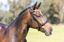 PMP Sport Bridle Colorado Cavesson with Clip on Browband