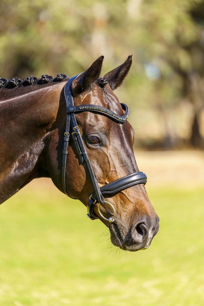 PMP Sport Bridle Delight Cavesson with Clip on Swarovski Browband