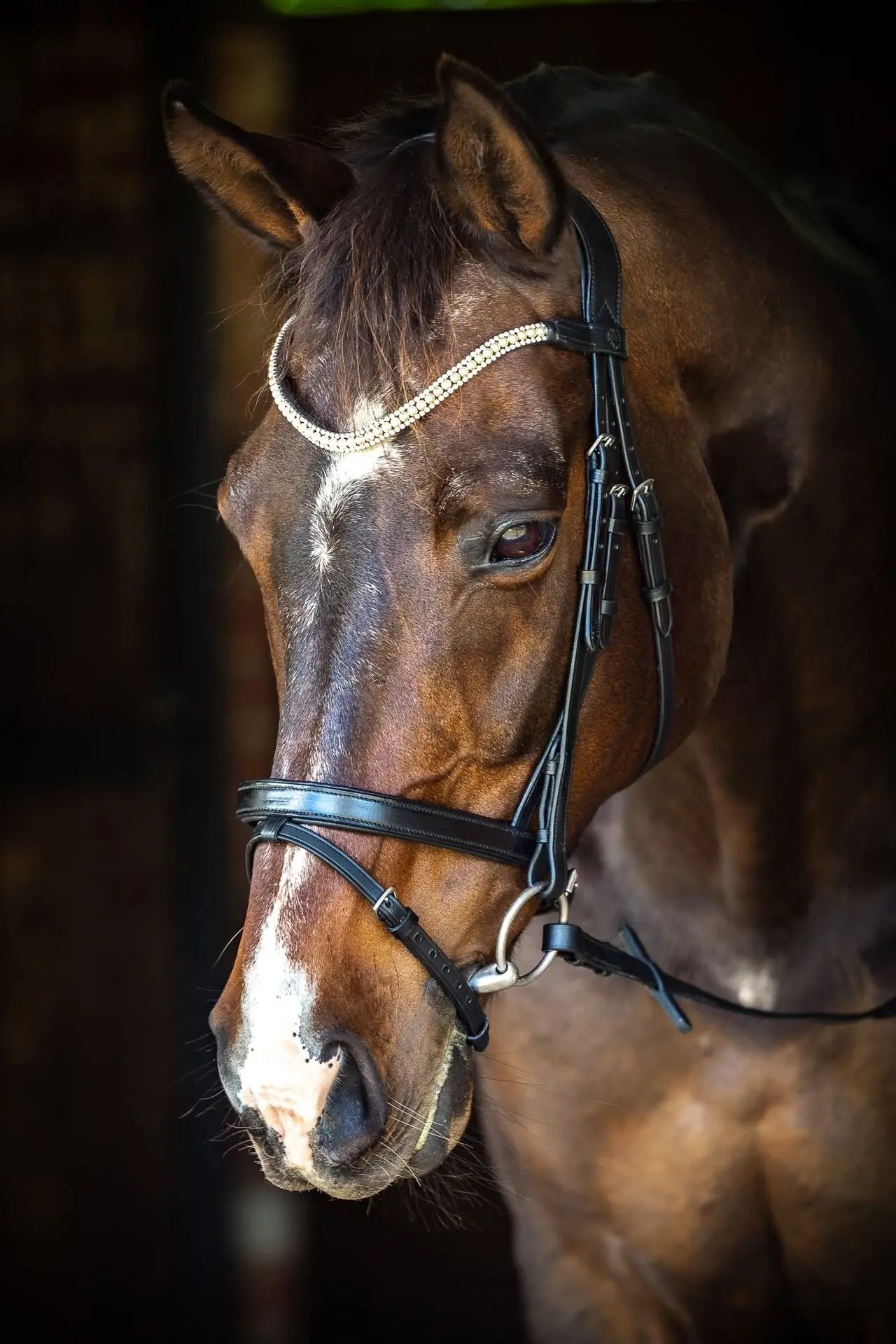 PMP Sport Bridle Flat Hannovarian Noseband Bella