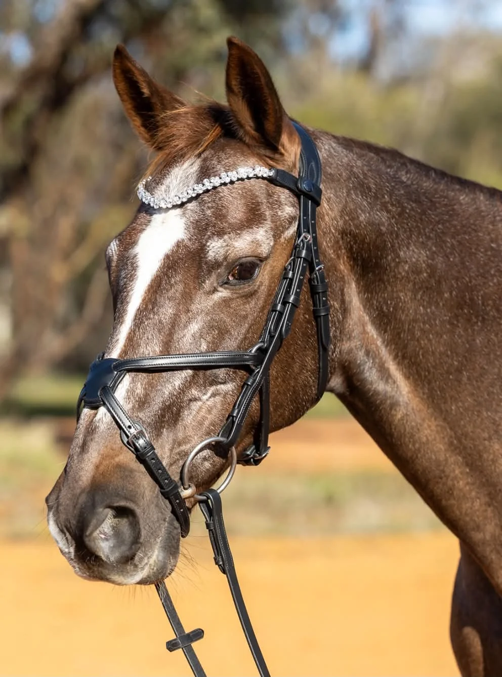 PMP Sport Grackle Bridle | Anatomical Leather Horse Bridle for Jumping & Eventing