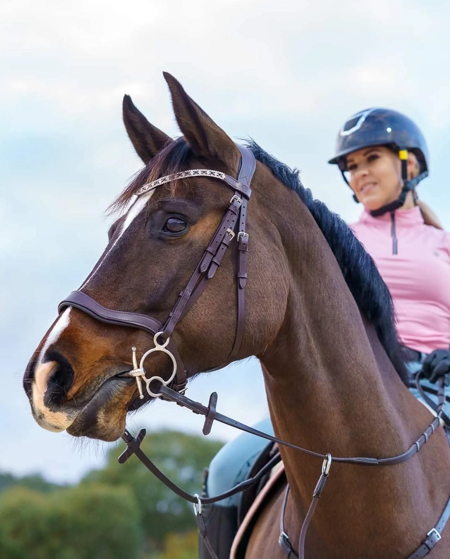 PMP Sport Bridle Scarlet Anatomical Comfort