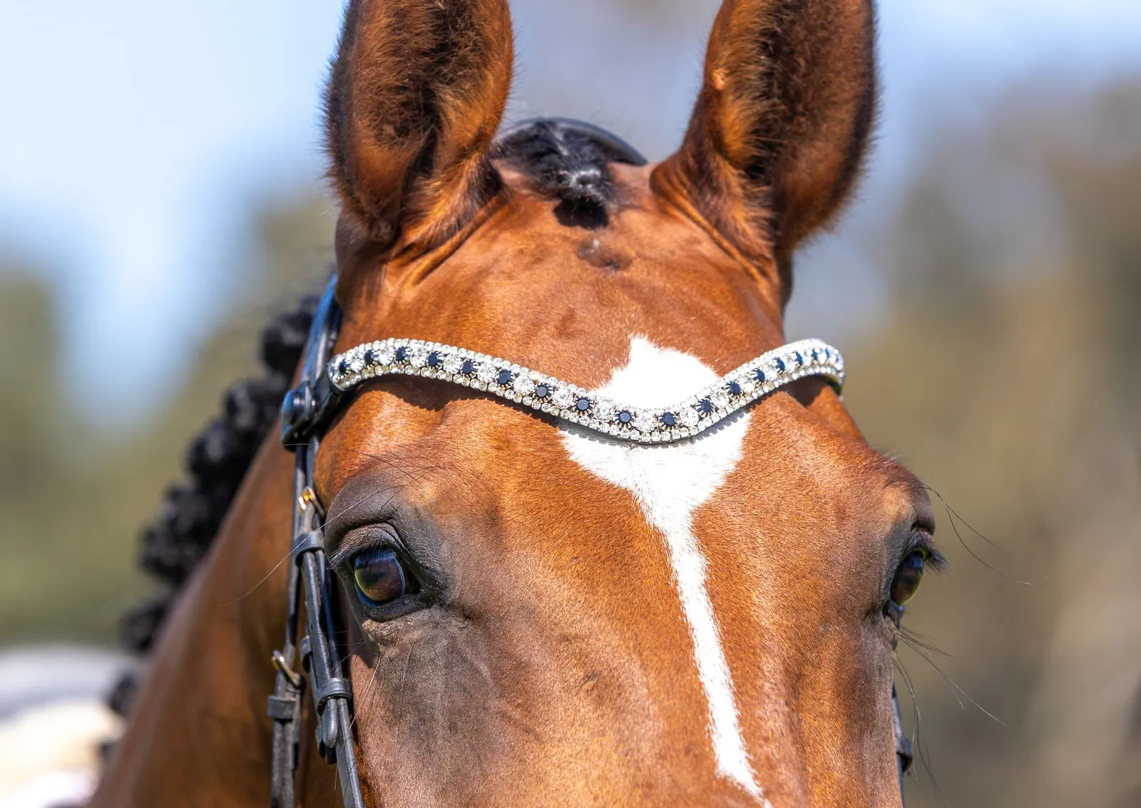 PMP Sport Clip on Swarovski Browband - Black and Clear (Cob, Black Leather)