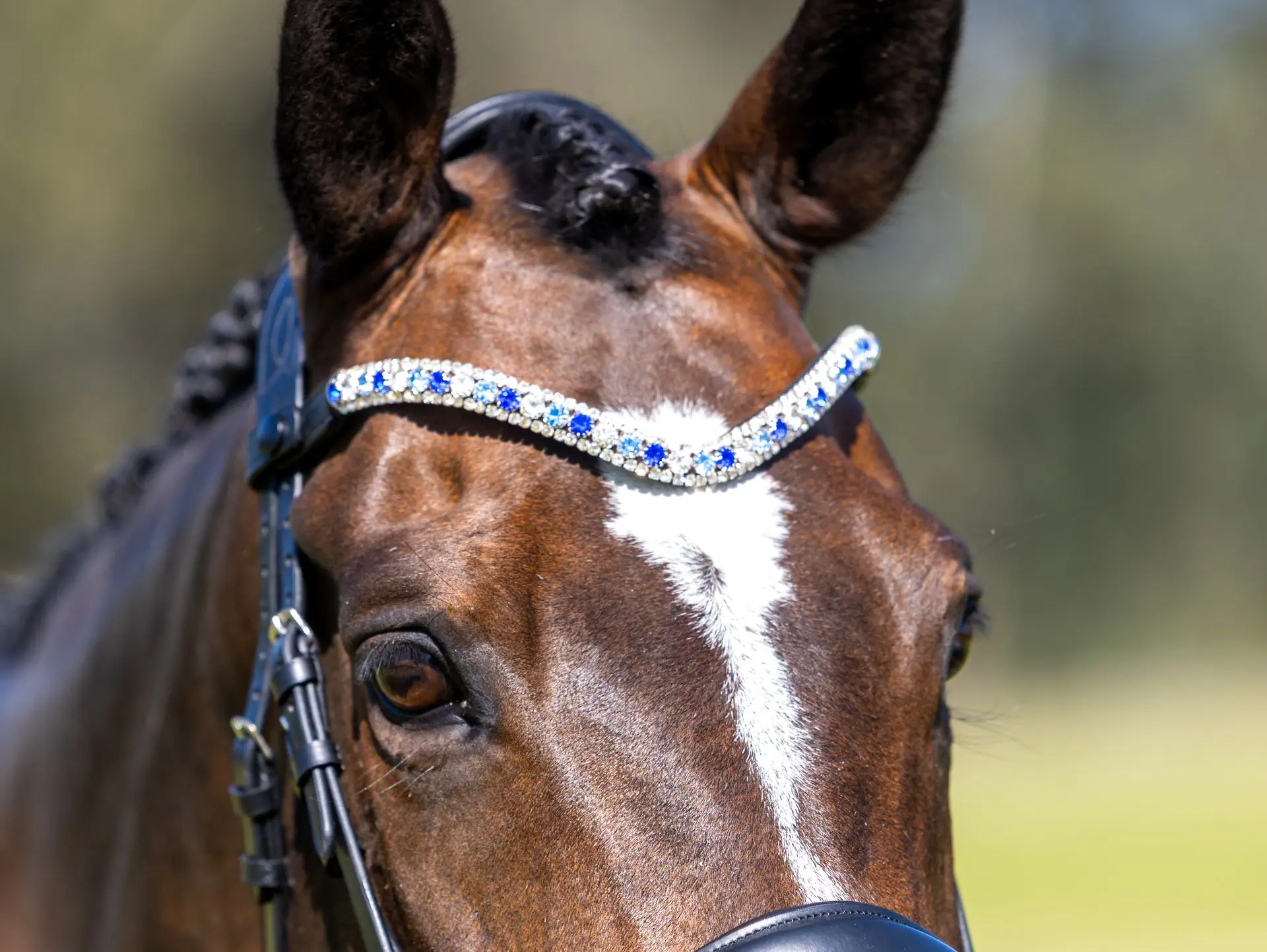 PMP Sport Clip on Swarovski Browband - Blues (Cob, Black Leather)