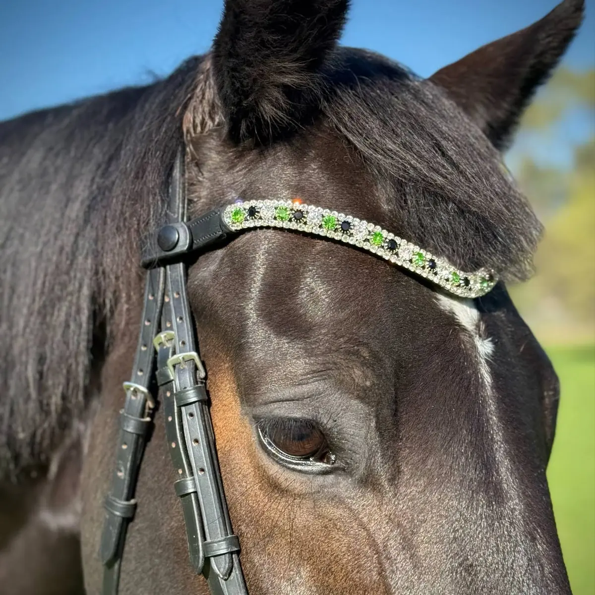 PMP Sport Clip on Swarovski Browband - Emerald Green (Cob, Black Leather)
