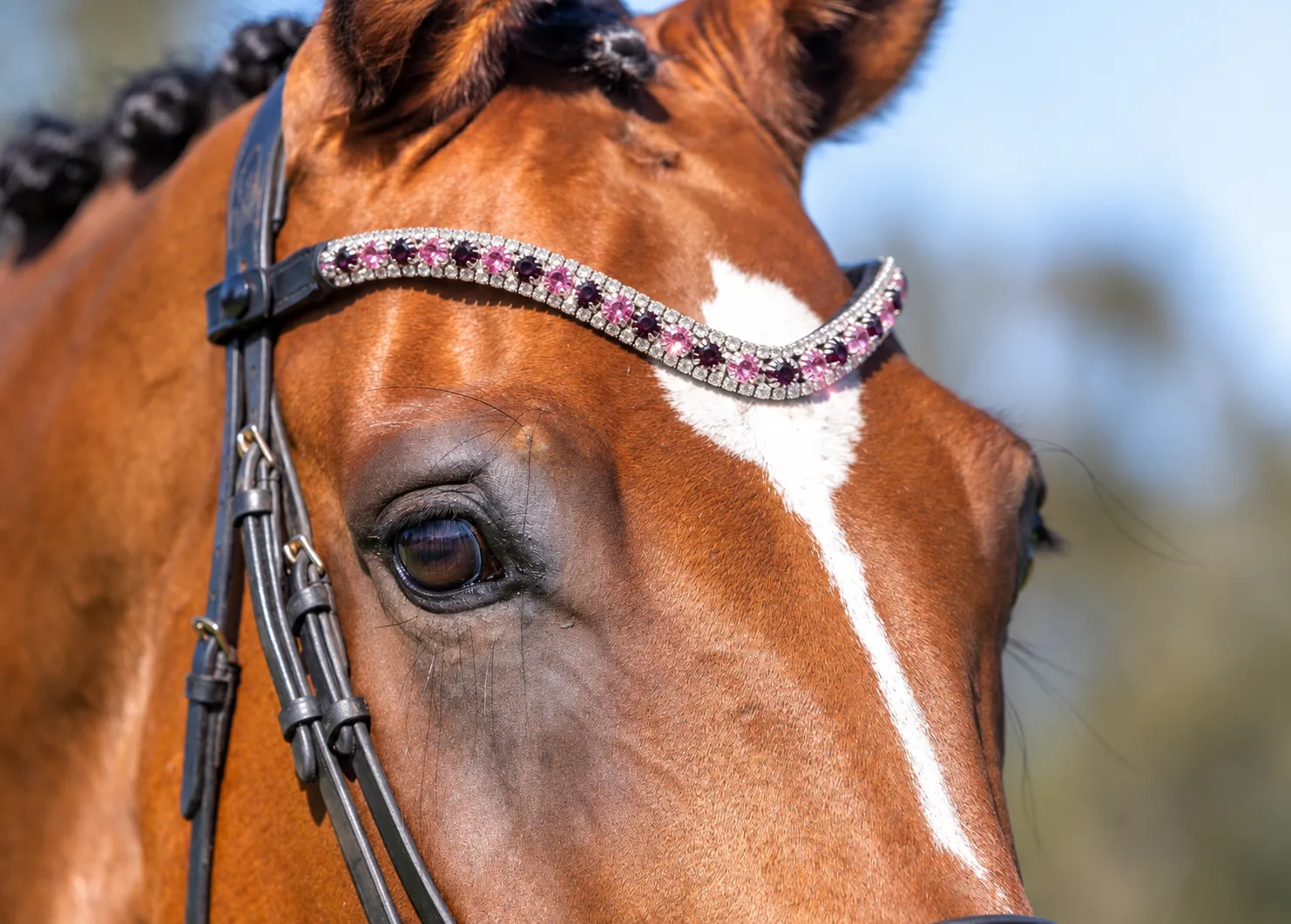 PMP Sport Clip on Swarovski Browband - Pink/Purple