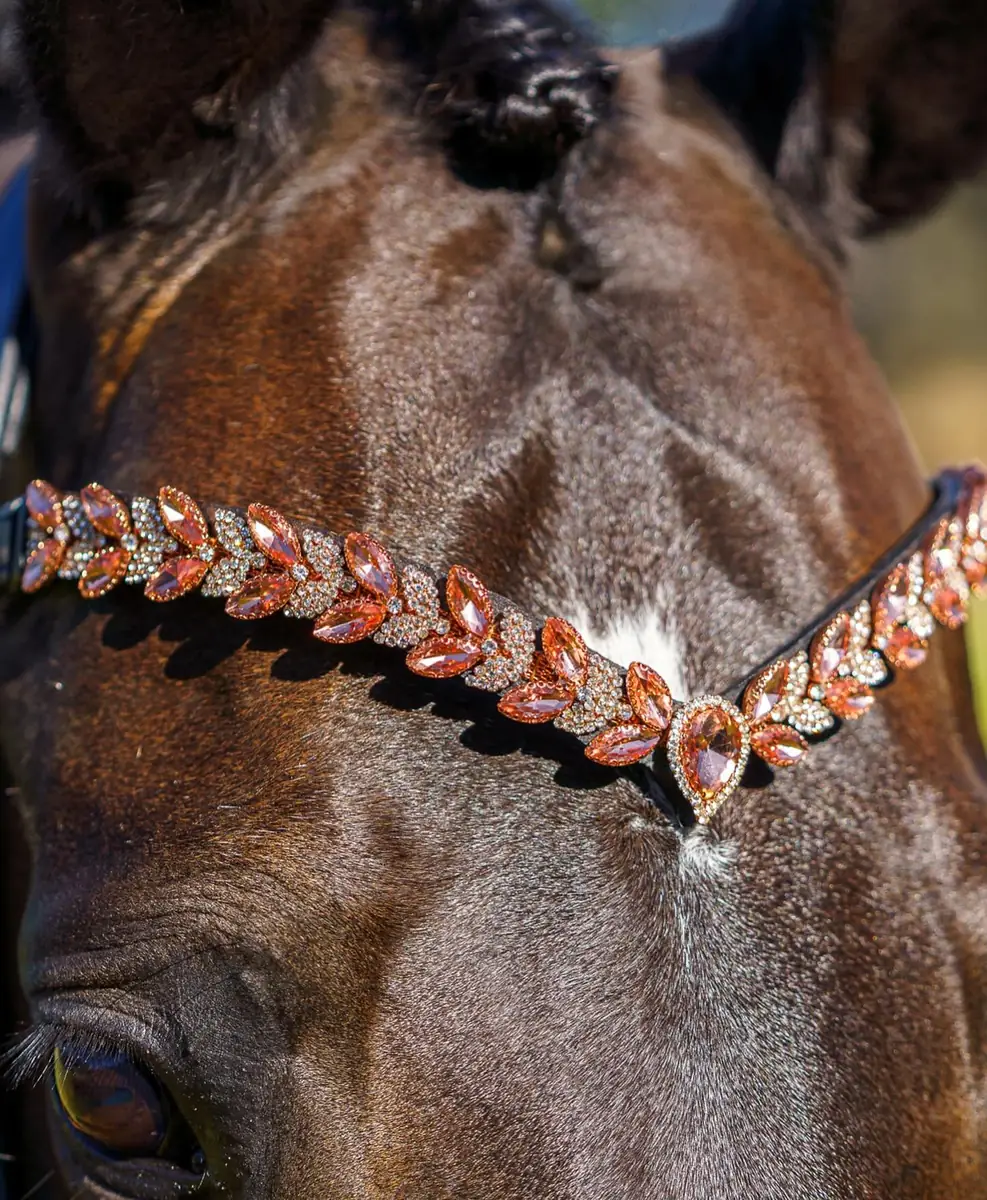 PMP Sport Clip on Swarovski Browband Athena - Rose Gold (Cob, Black Leather)