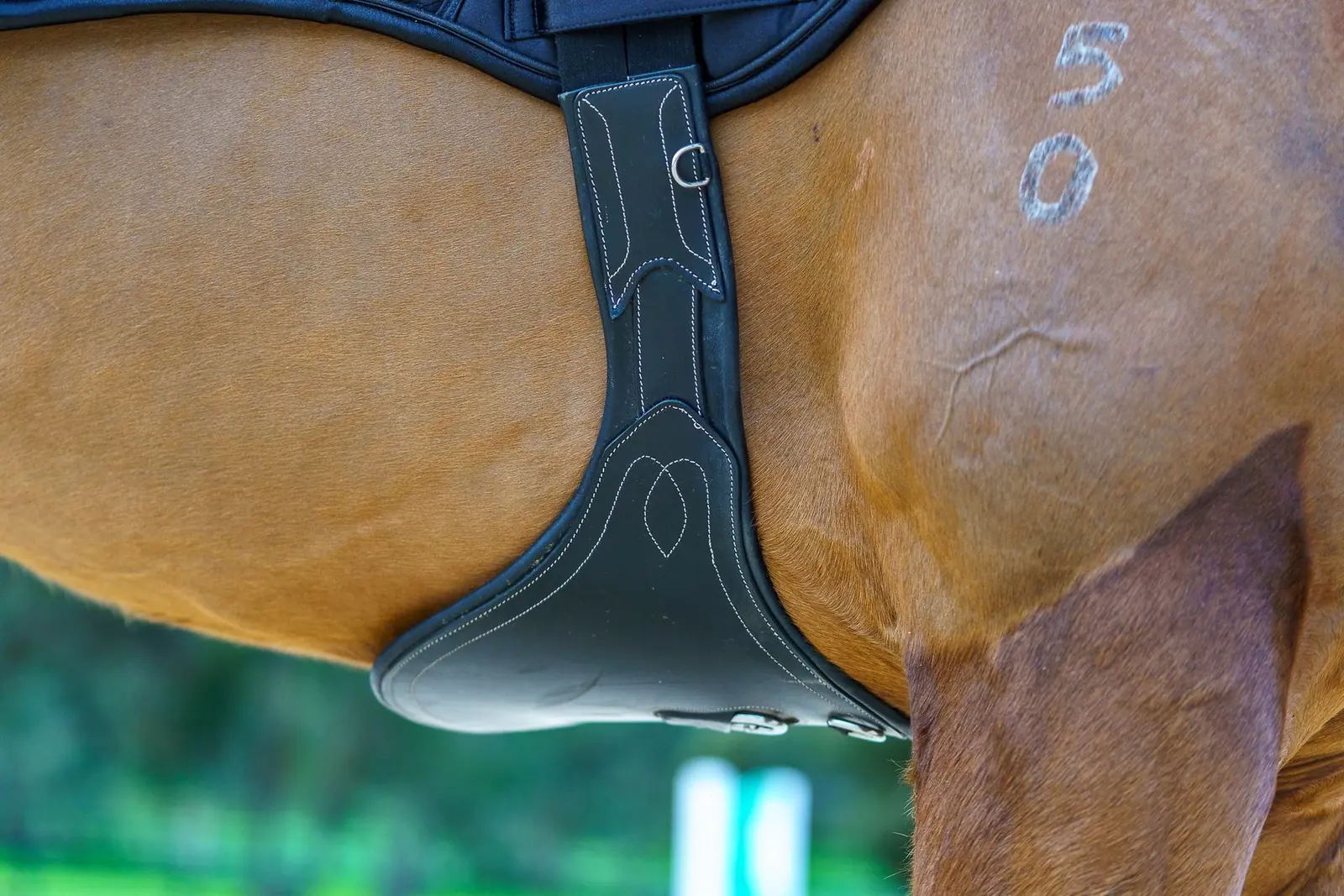 PMP Sport Leather Stud Girth